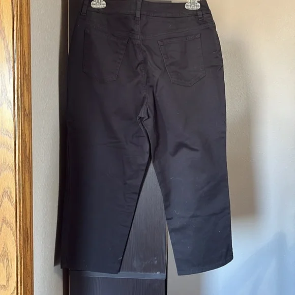 Jones New York Signature Petite Women’s Sz 8P Black Stretch Ankle Pant - Picture 2 of 5